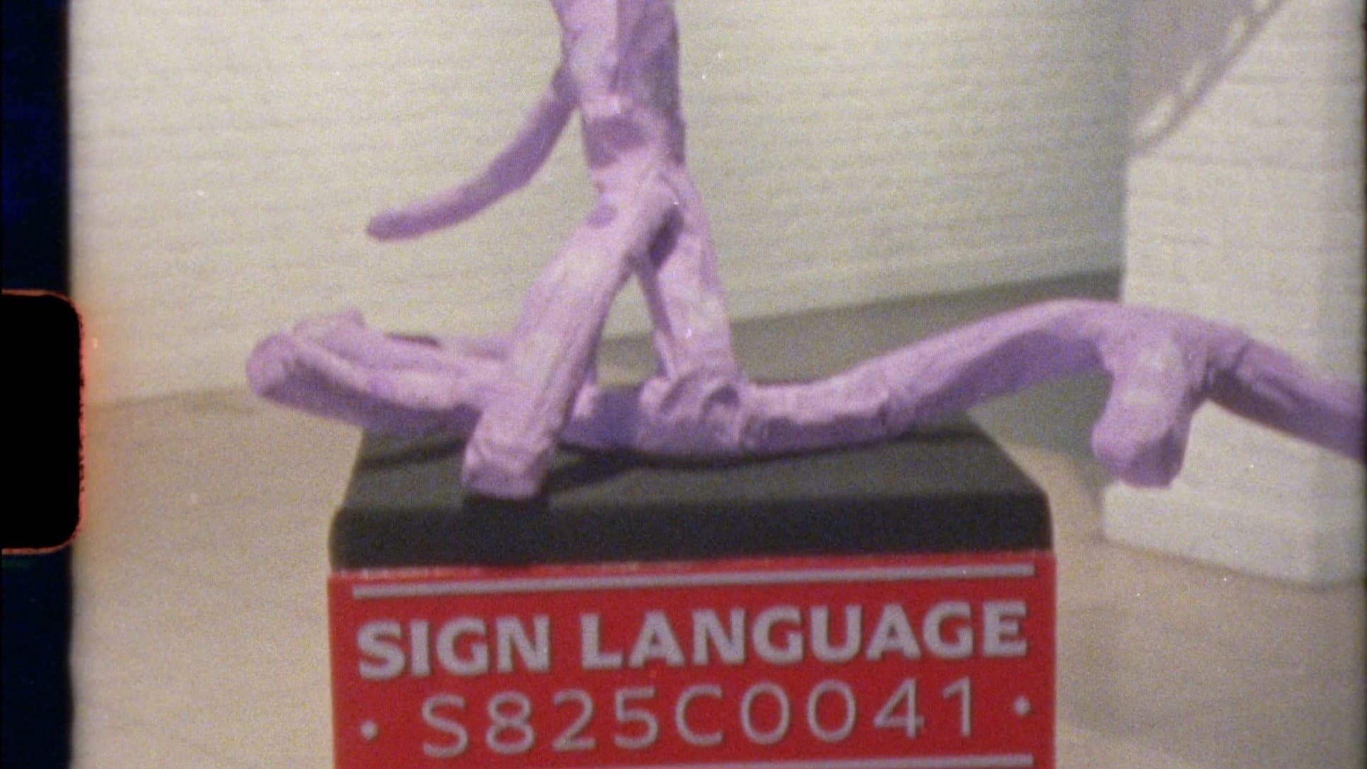 Sign Language - immagine