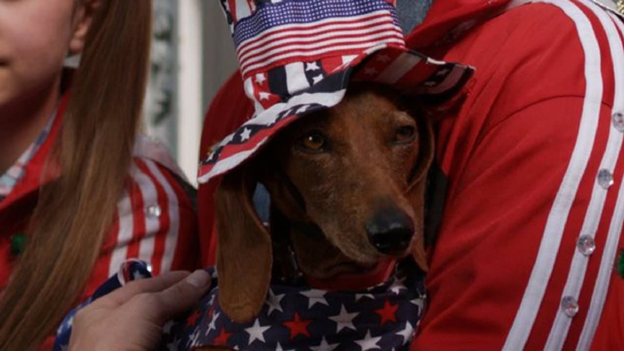 Wiener Dog Internationals - immagine