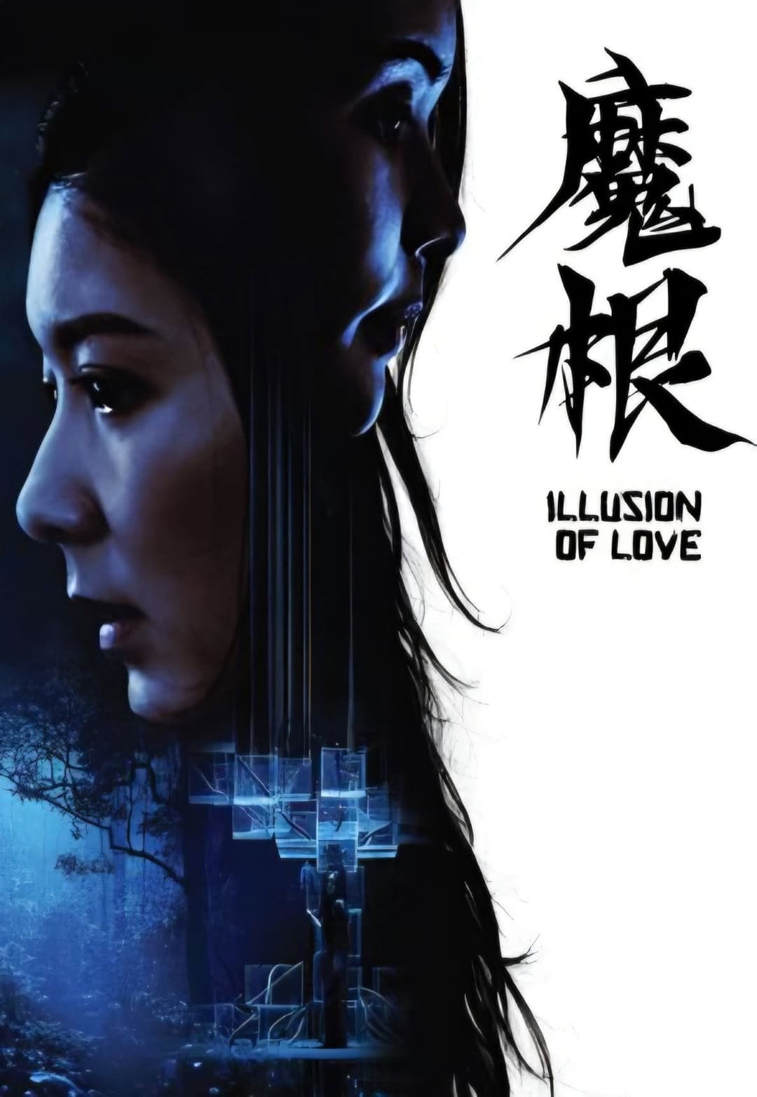 Poster di 魔根