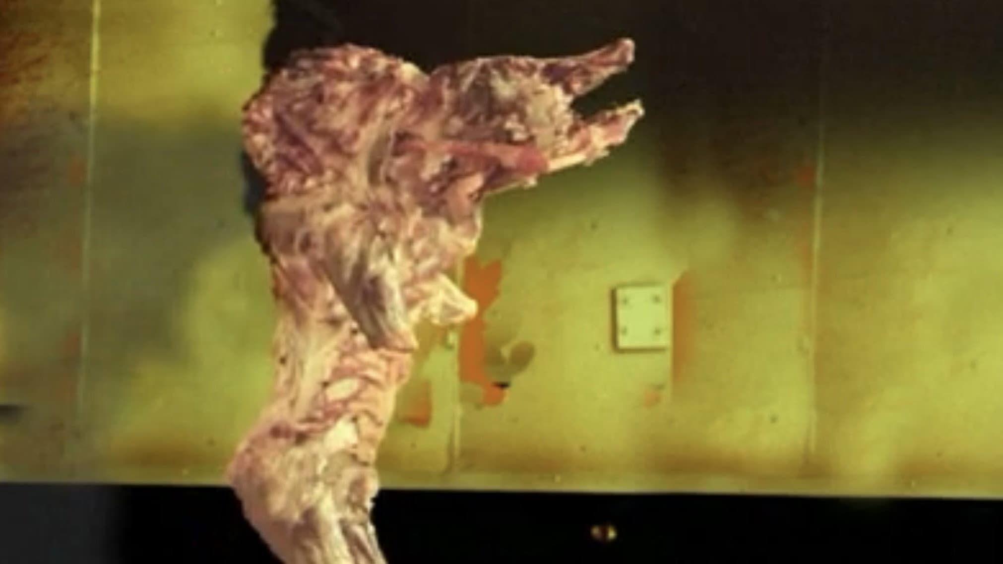 The Pig Walks - immagine