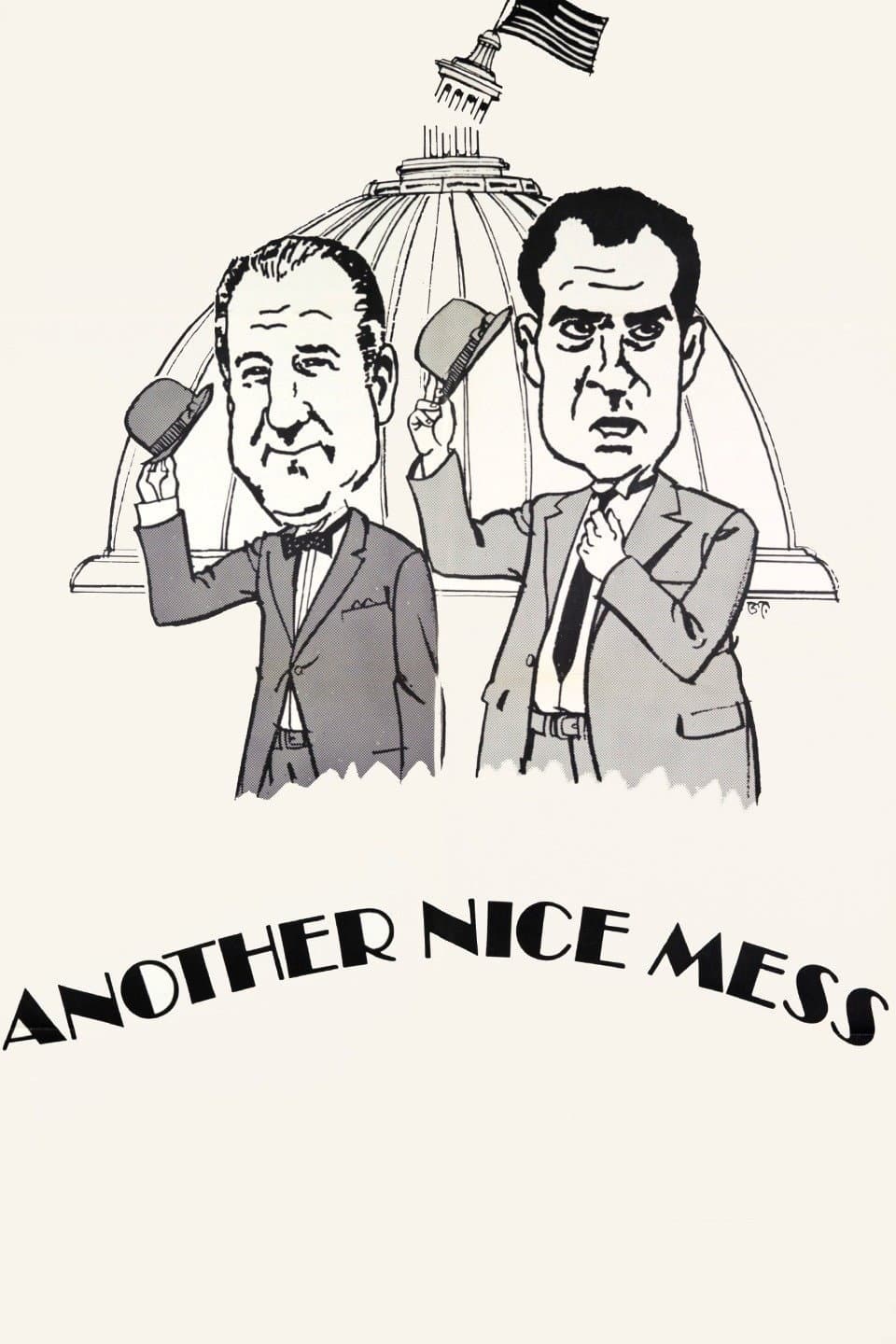 Poster di Another Nice Mess