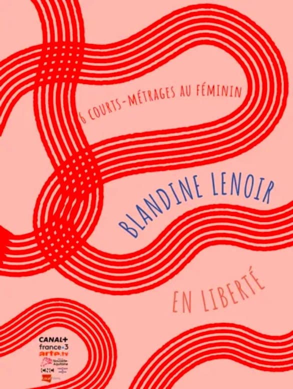 Poster di Pour de vrai