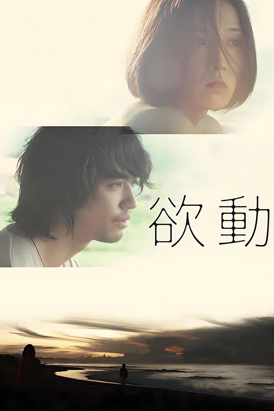 Poster di 欲動
