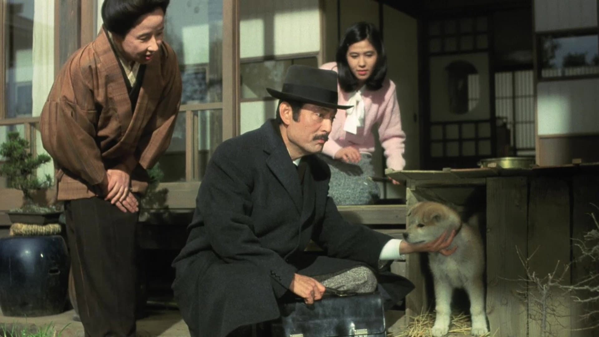 hachiko monogatari - immagine