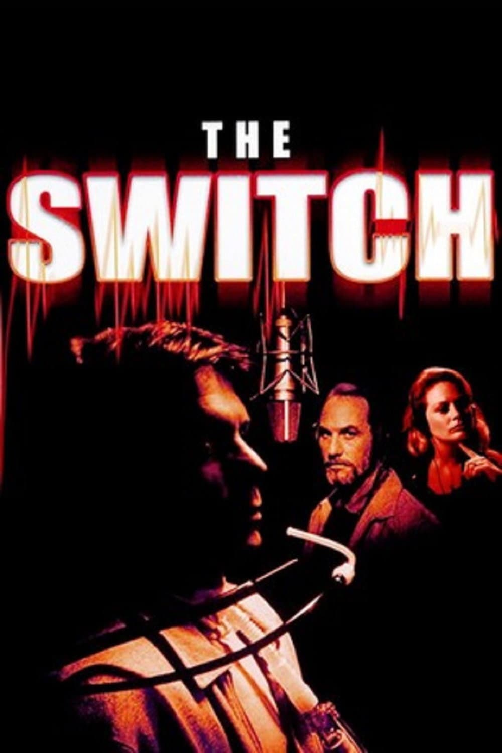 Poster di The Switch