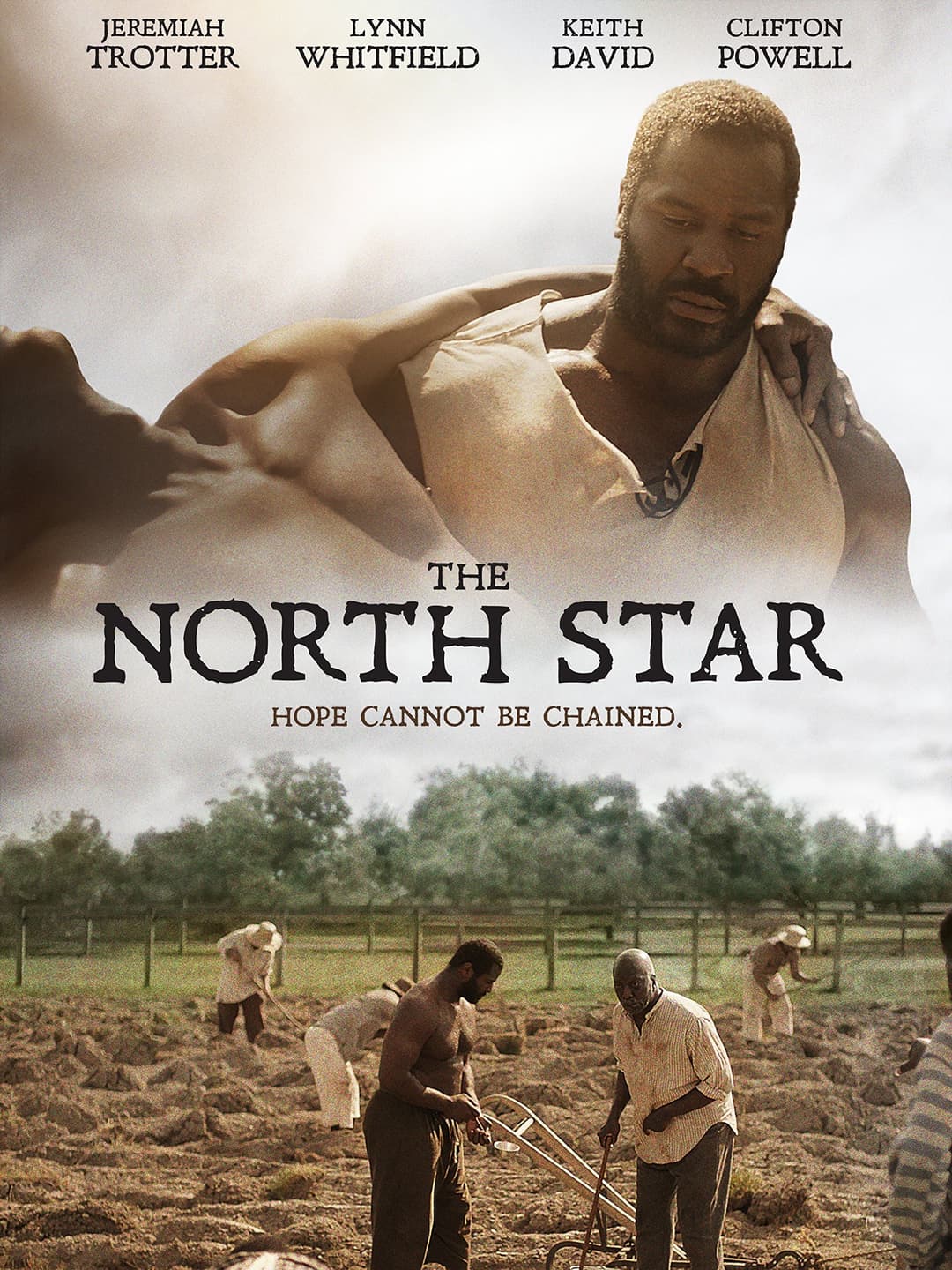 Poster di The North Star