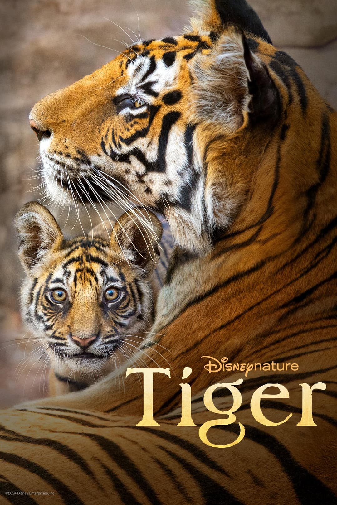 Poster di Tiger