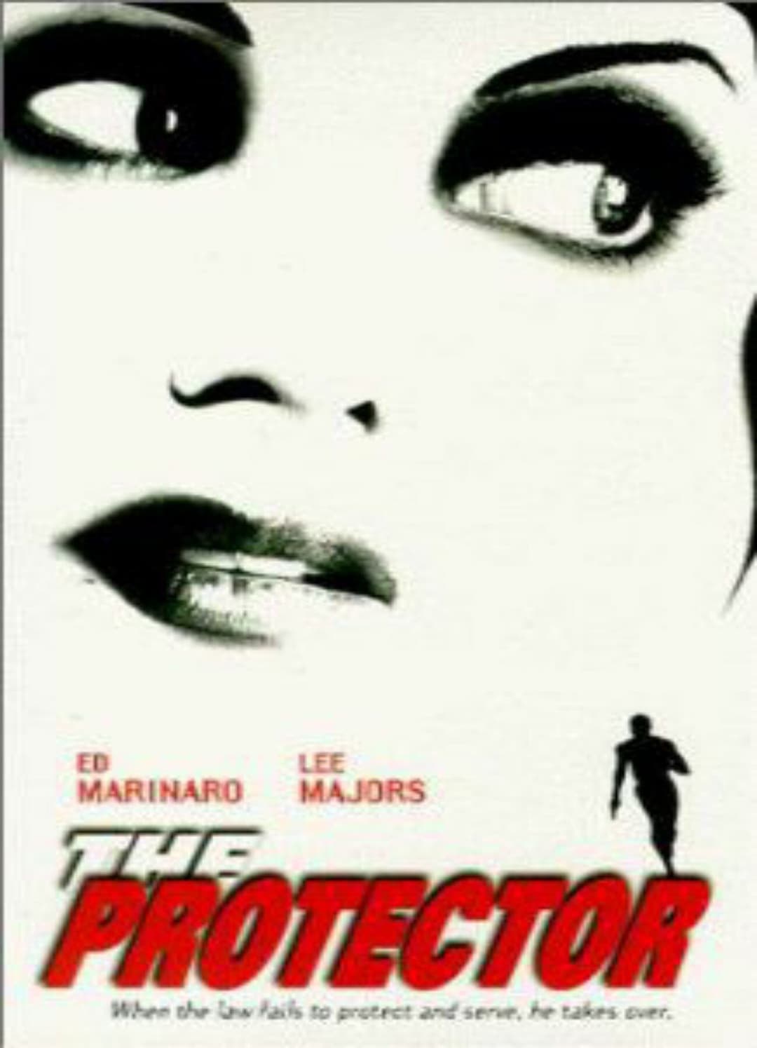 Poster di The Protector