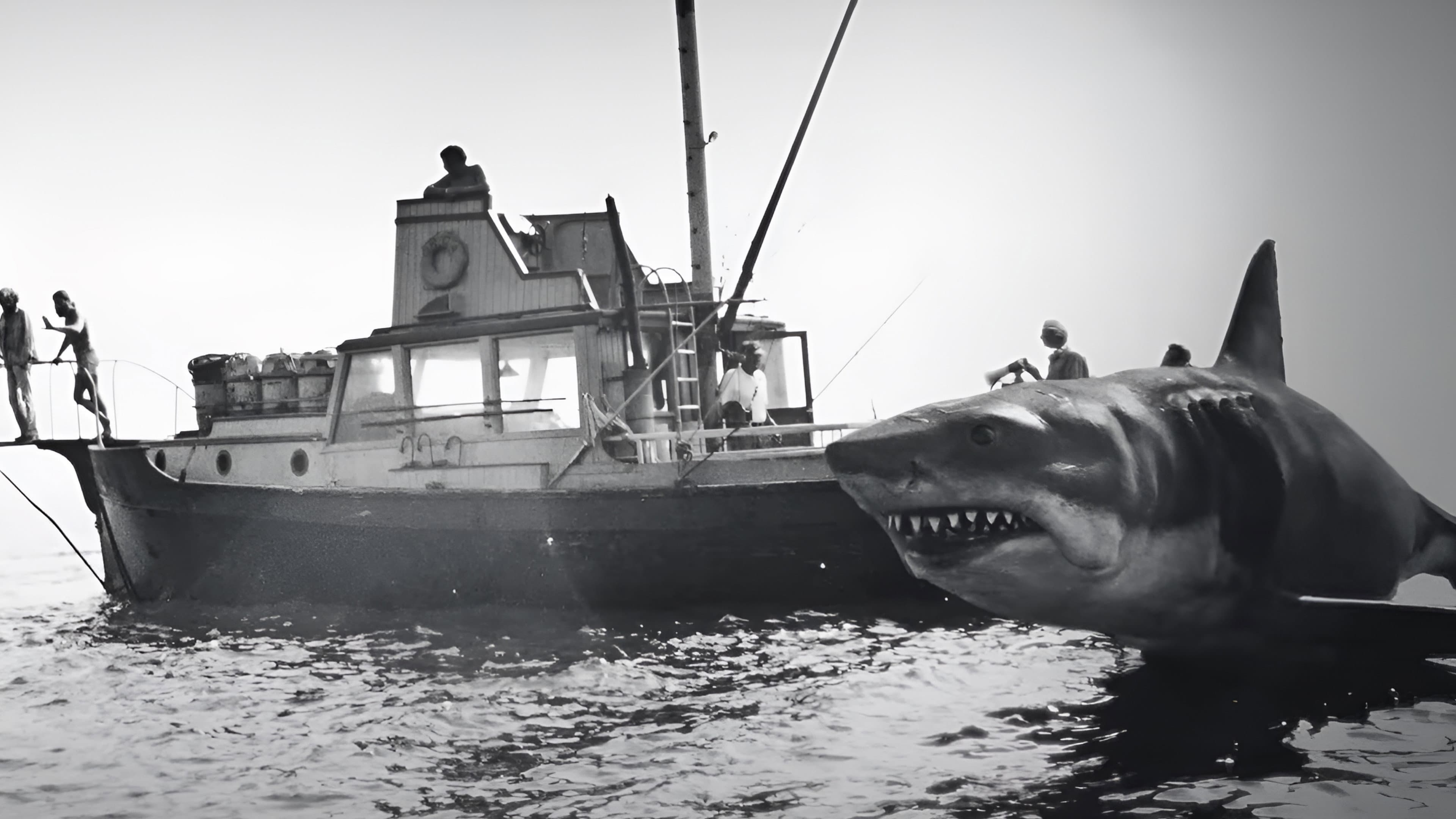Jaws @ 50: The Definitive Inside Story - immagine