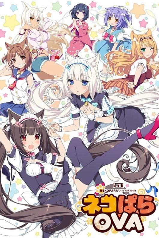 Poster di ネコぱらOVA