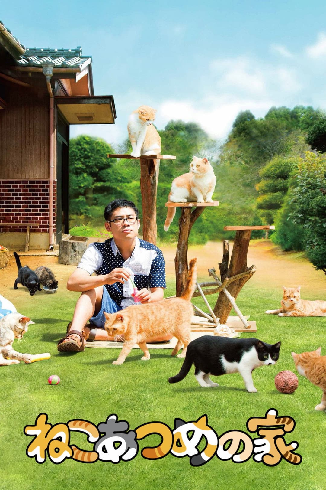Poster di ねこあつめの家