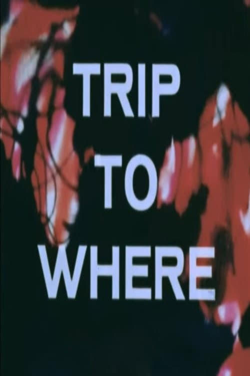 Poster di LSD: Trip to Where?