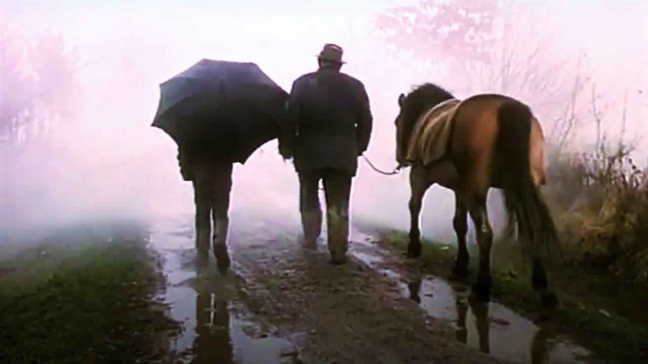 Događaj - immagine