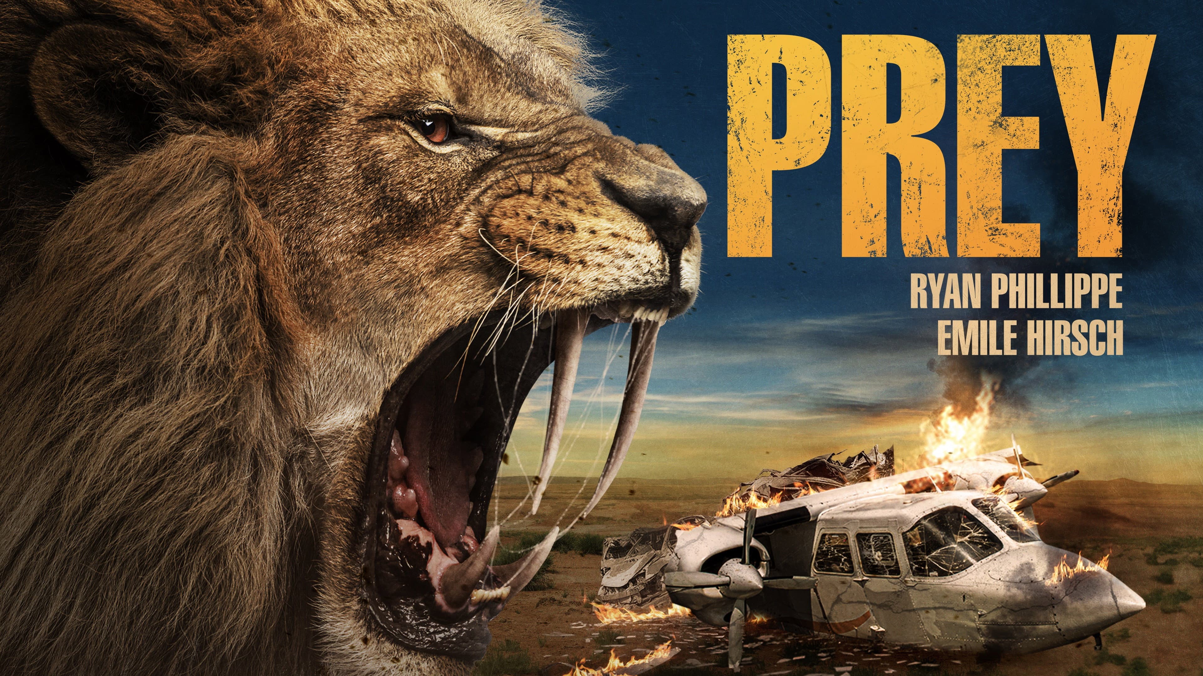 Prey - La grande caccia - immagine