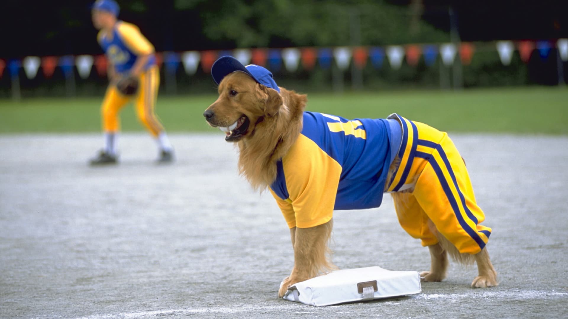 Air Bud 4 - Una zampata vincente - immagine