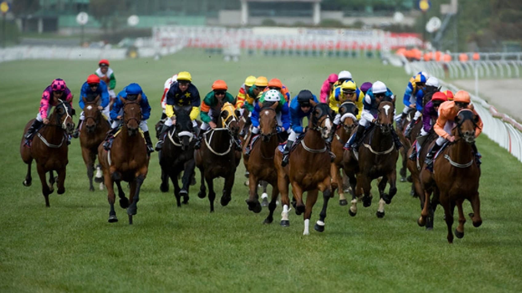 The Cup - In corsa per la vittoria - immagine