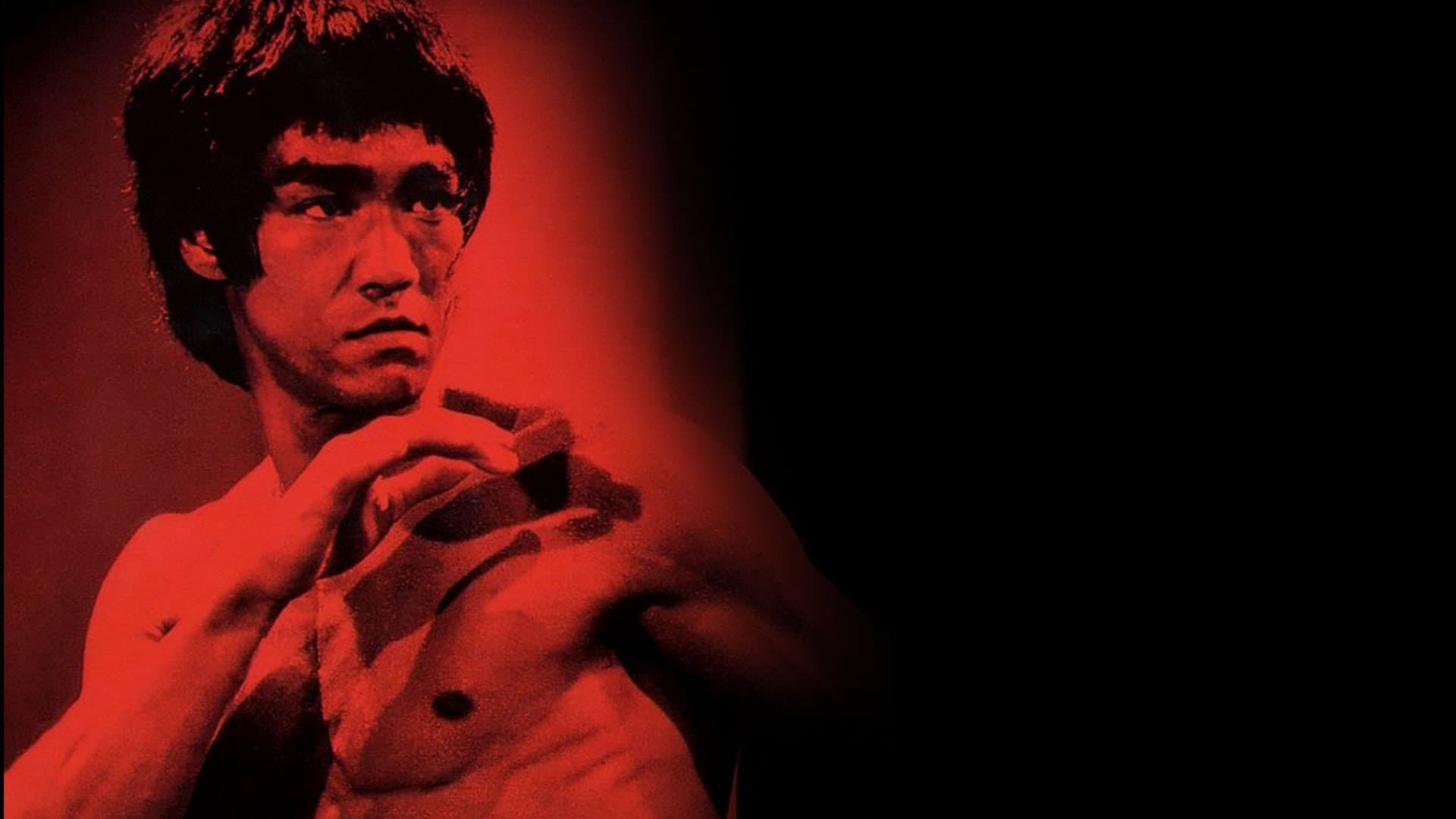 Bruce Lee: The Legend - immagine
