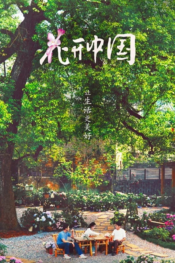 Poster di 花开中国