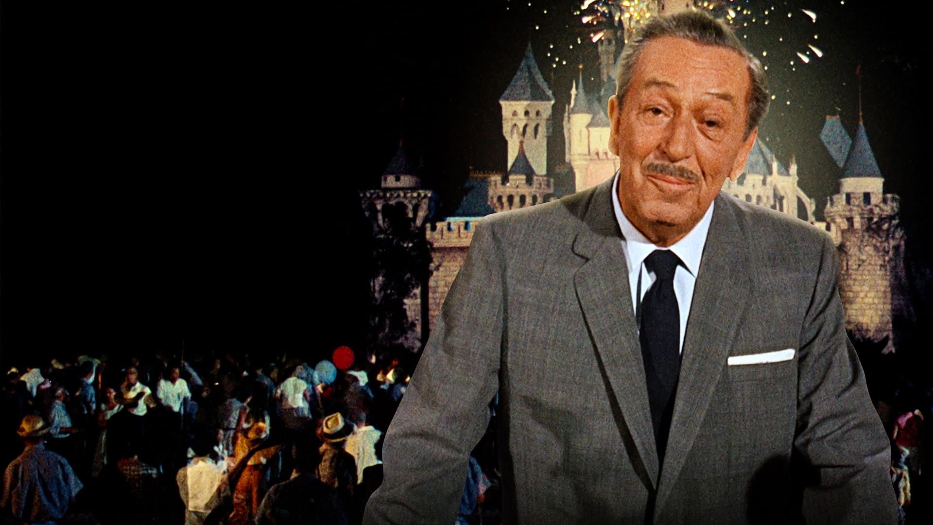 Disneyland Around the Seasons - immagine