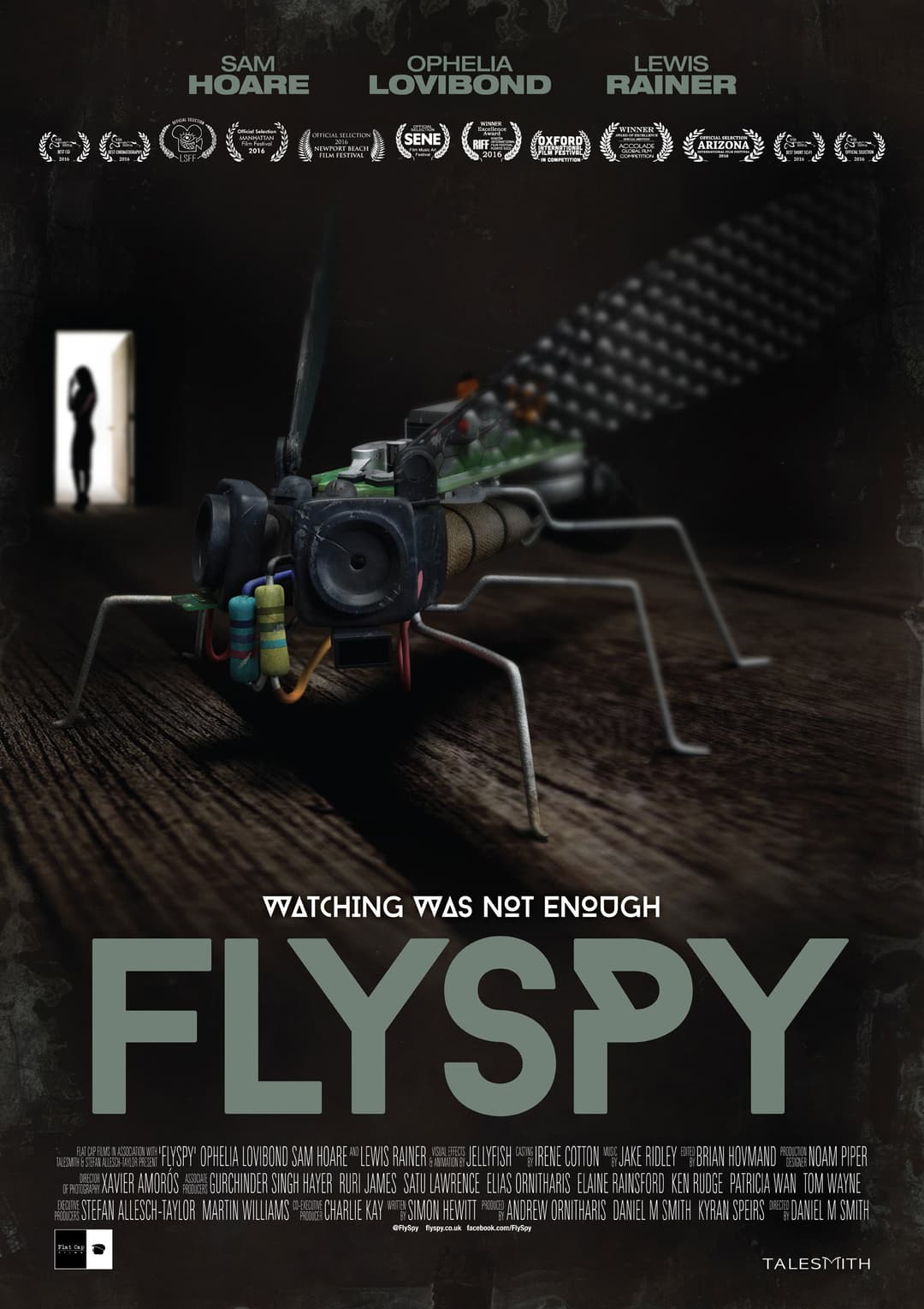 Poster di Flyspy