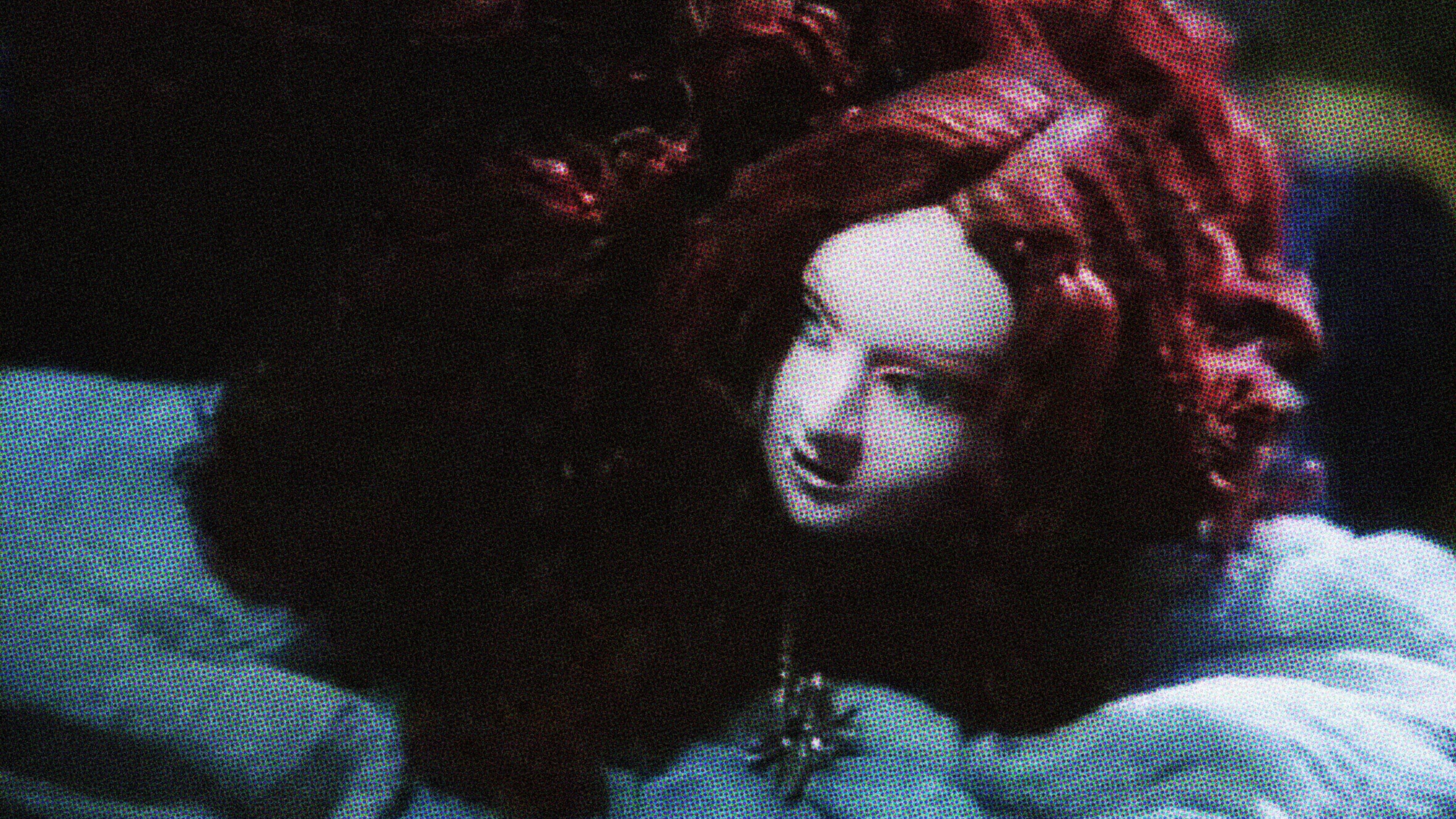 Briar-Rose or the Sleeping Beauty - immagine