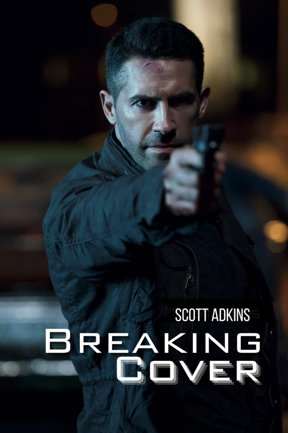 Poster di Breaking Cover