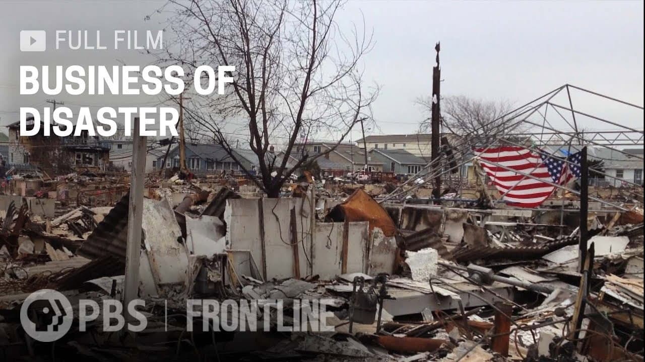 Business of Disaster - immagine