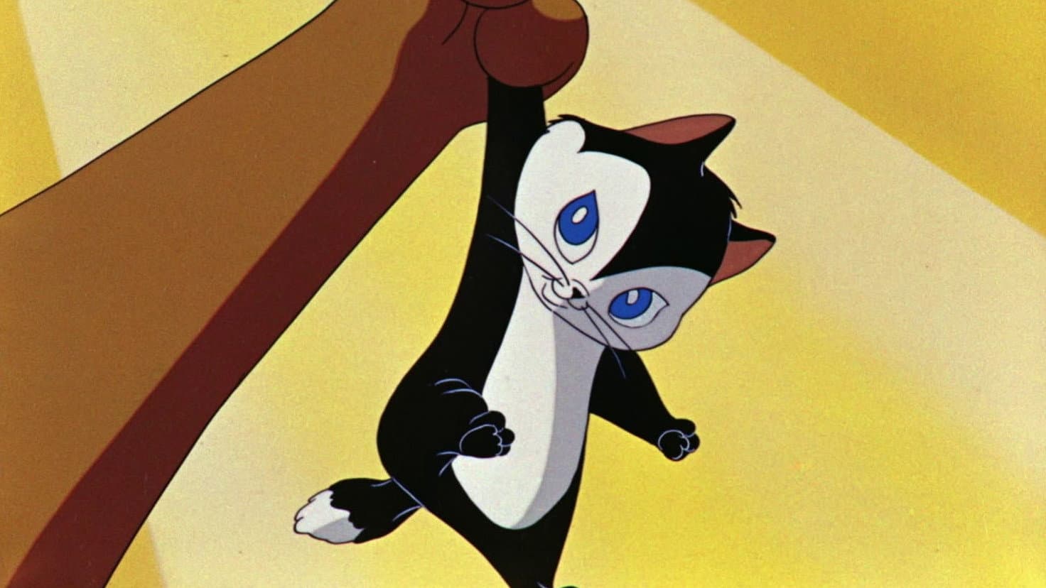 L'importanza di chiamarsi gatto - immagine