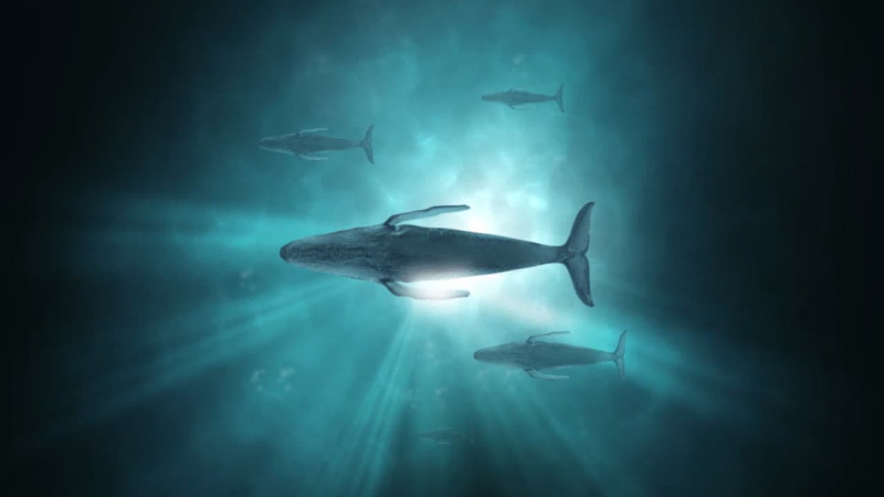 Sonic Sea - immagine