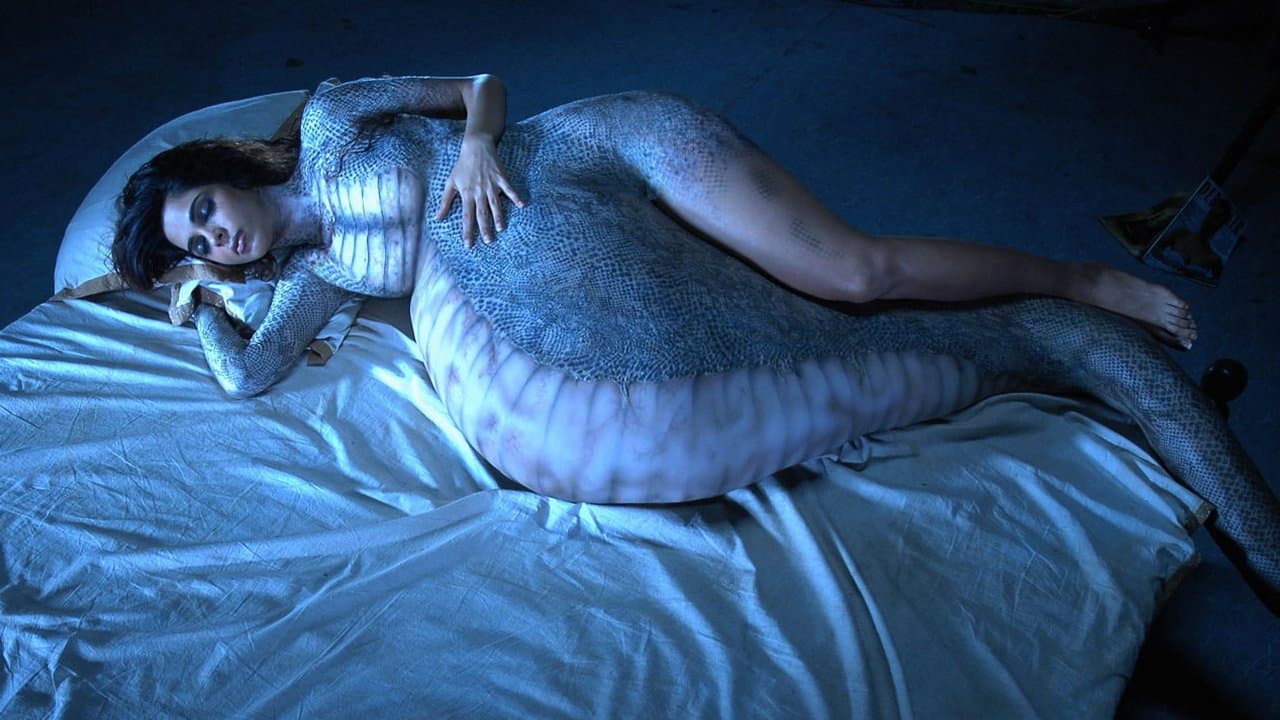 Hisss - immagine
