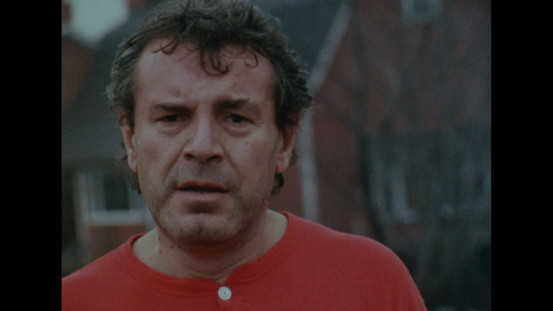 Forman vs. Forman - immagine