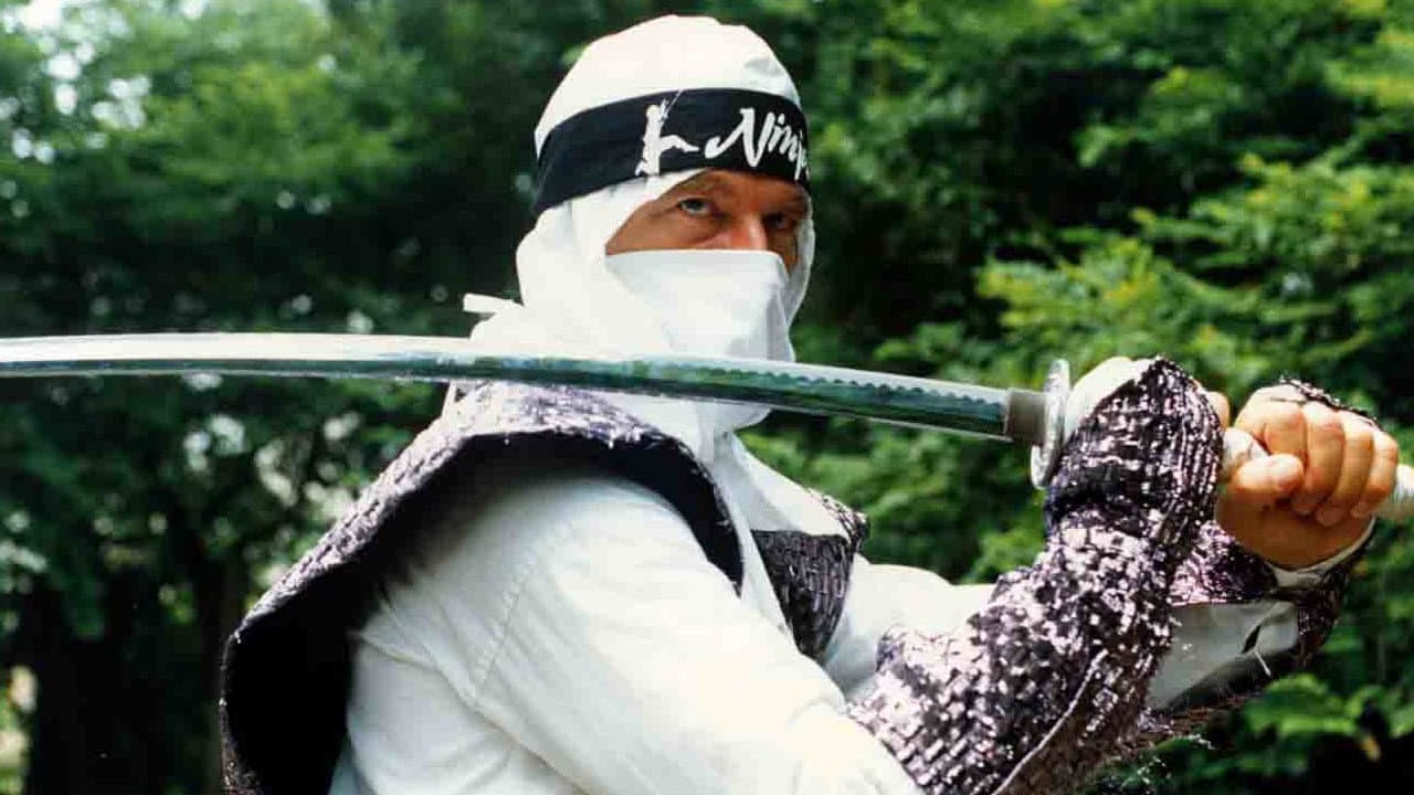 The Ninja Showdown - immagine
