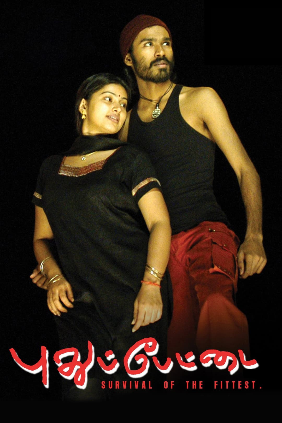 Poster di புதுப்பேட்டை