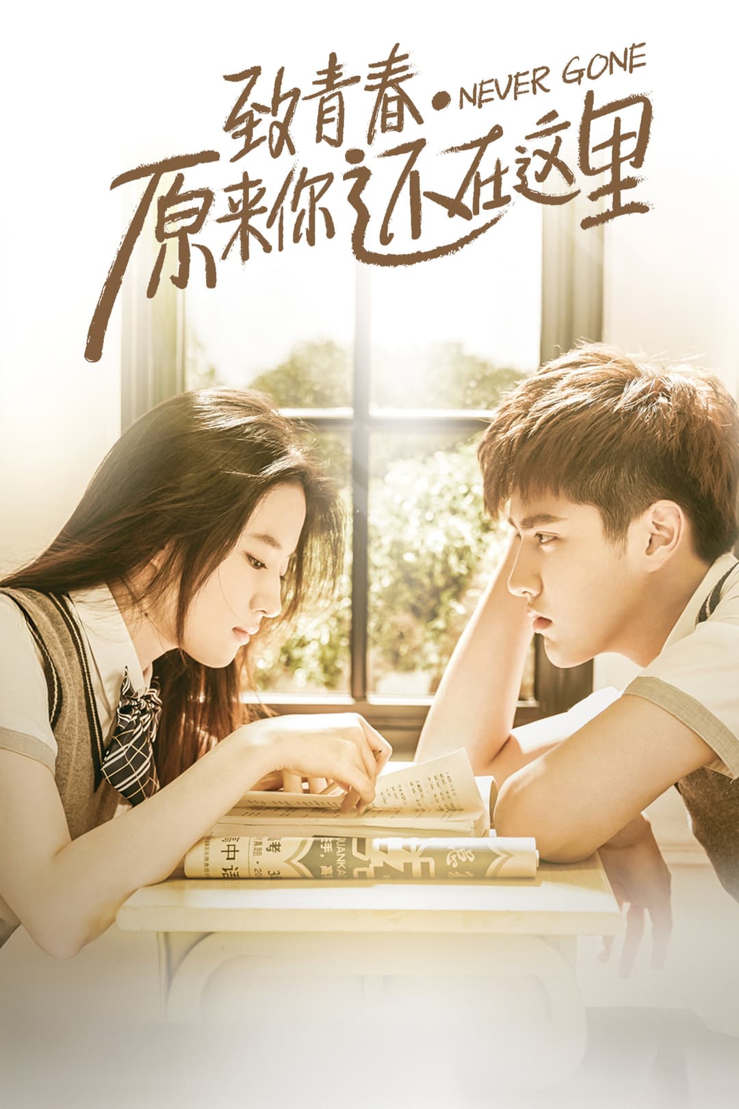 Poster di 致青春·原来你还在这里