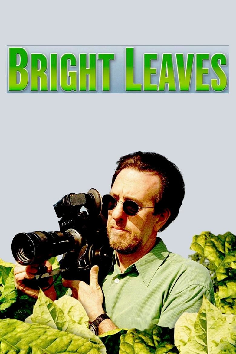 Poster di Bright Leaves