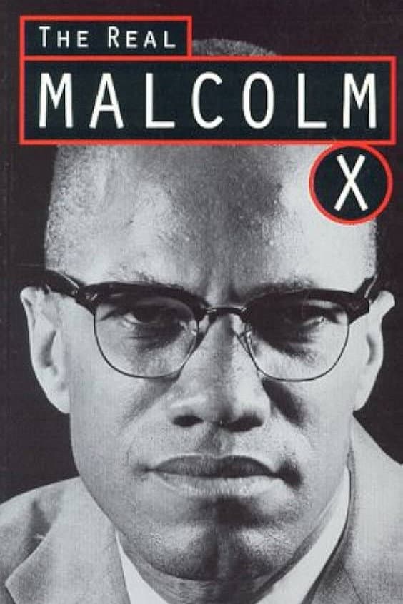 Poster di The Real Malcolm X