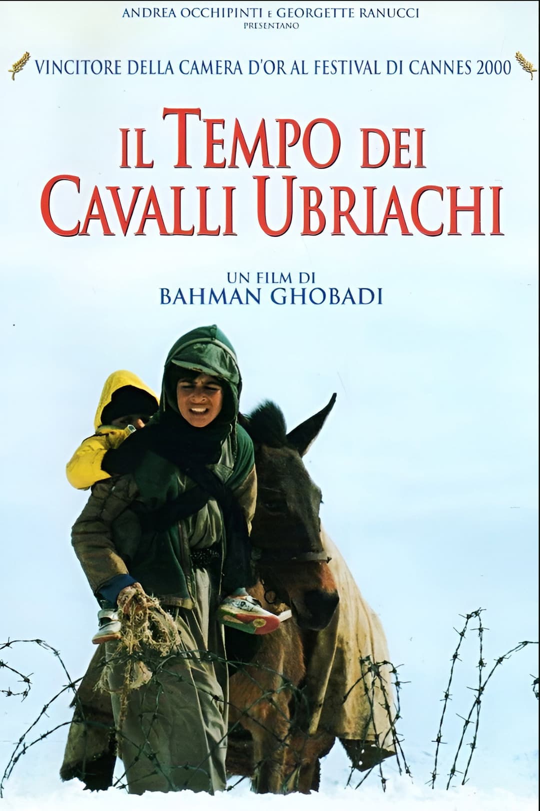 Poster di Il tempo dei cavalli ubriachi