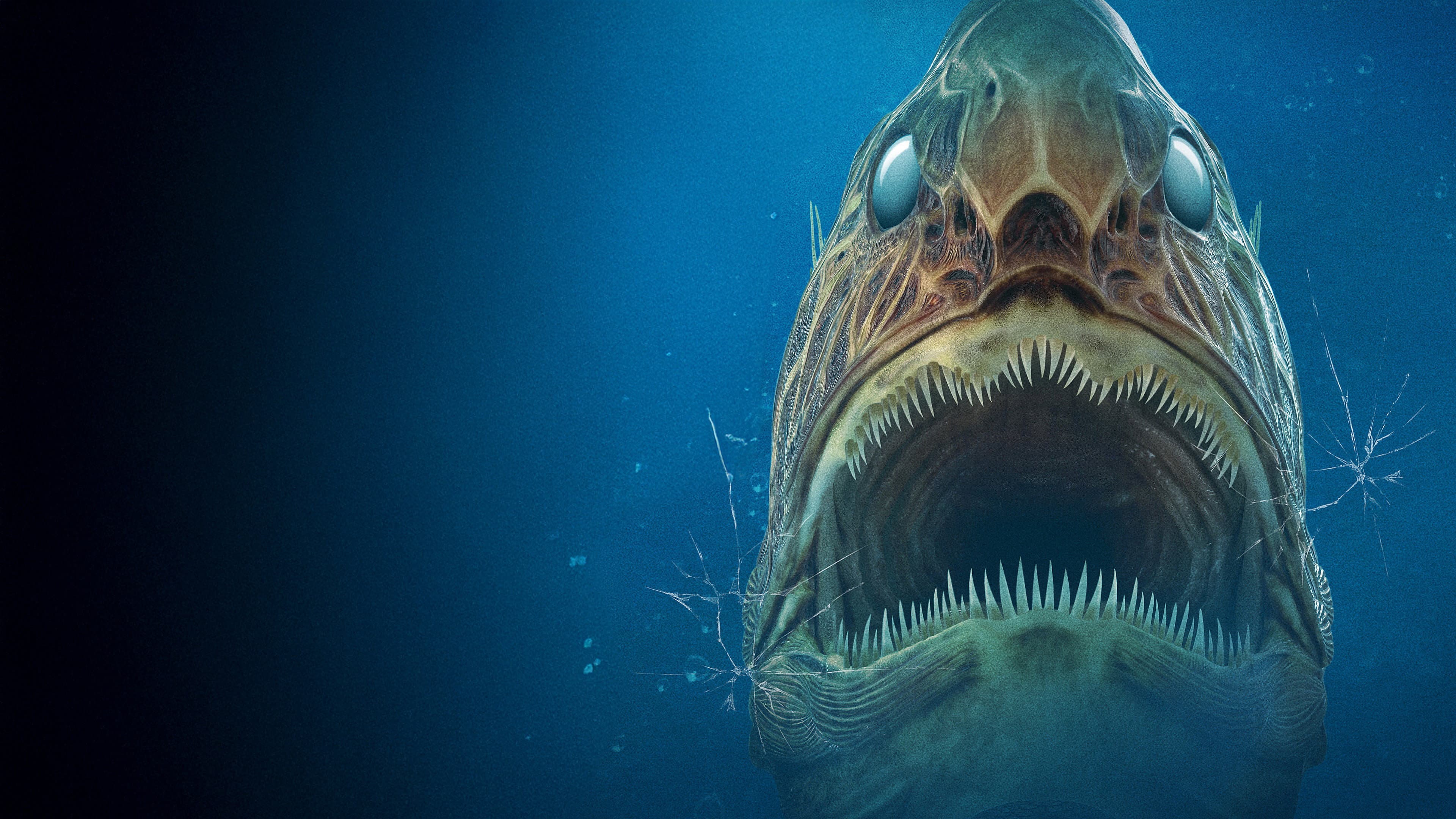 Aquarium of the Dead - immagine