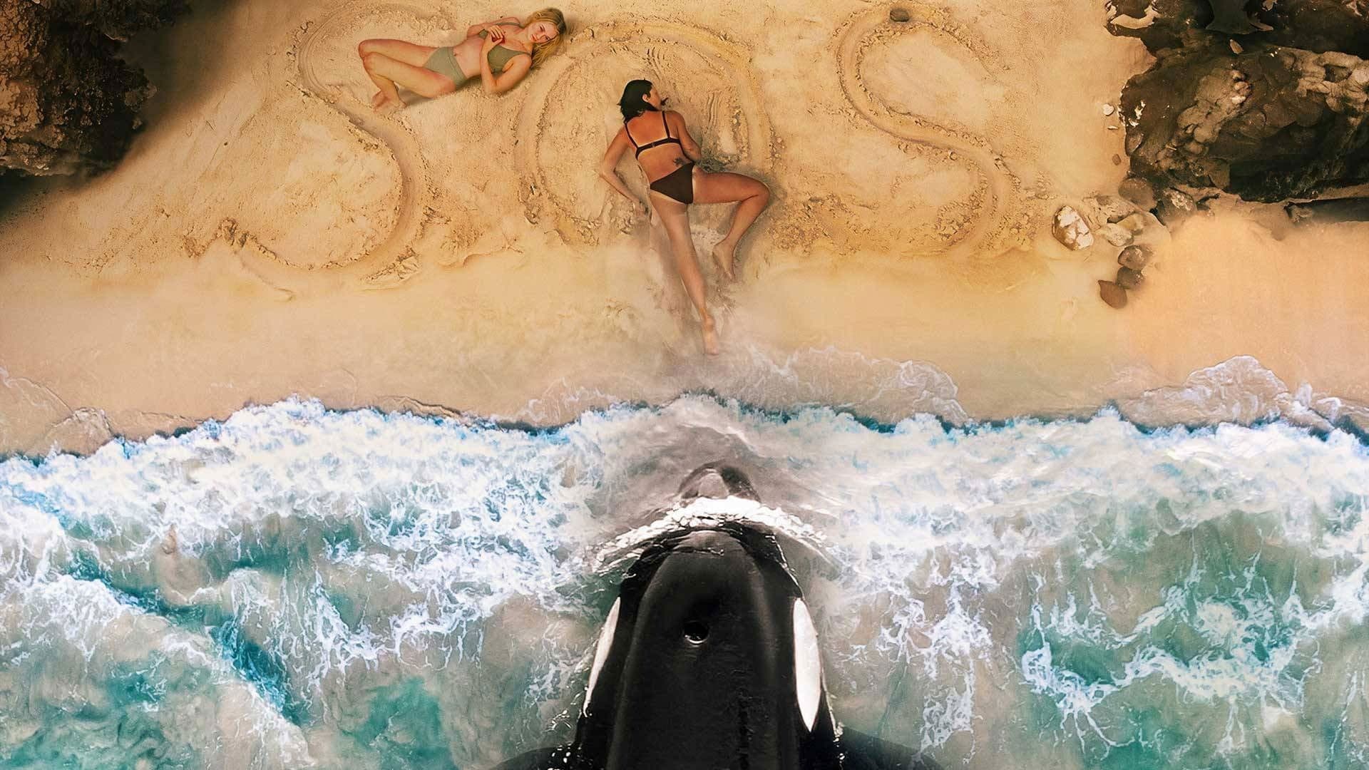 Killer Whale - immagine