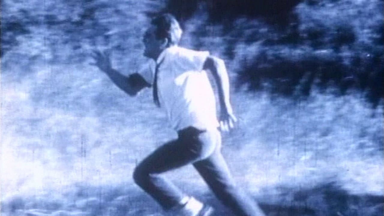 Freiheit - immagine
