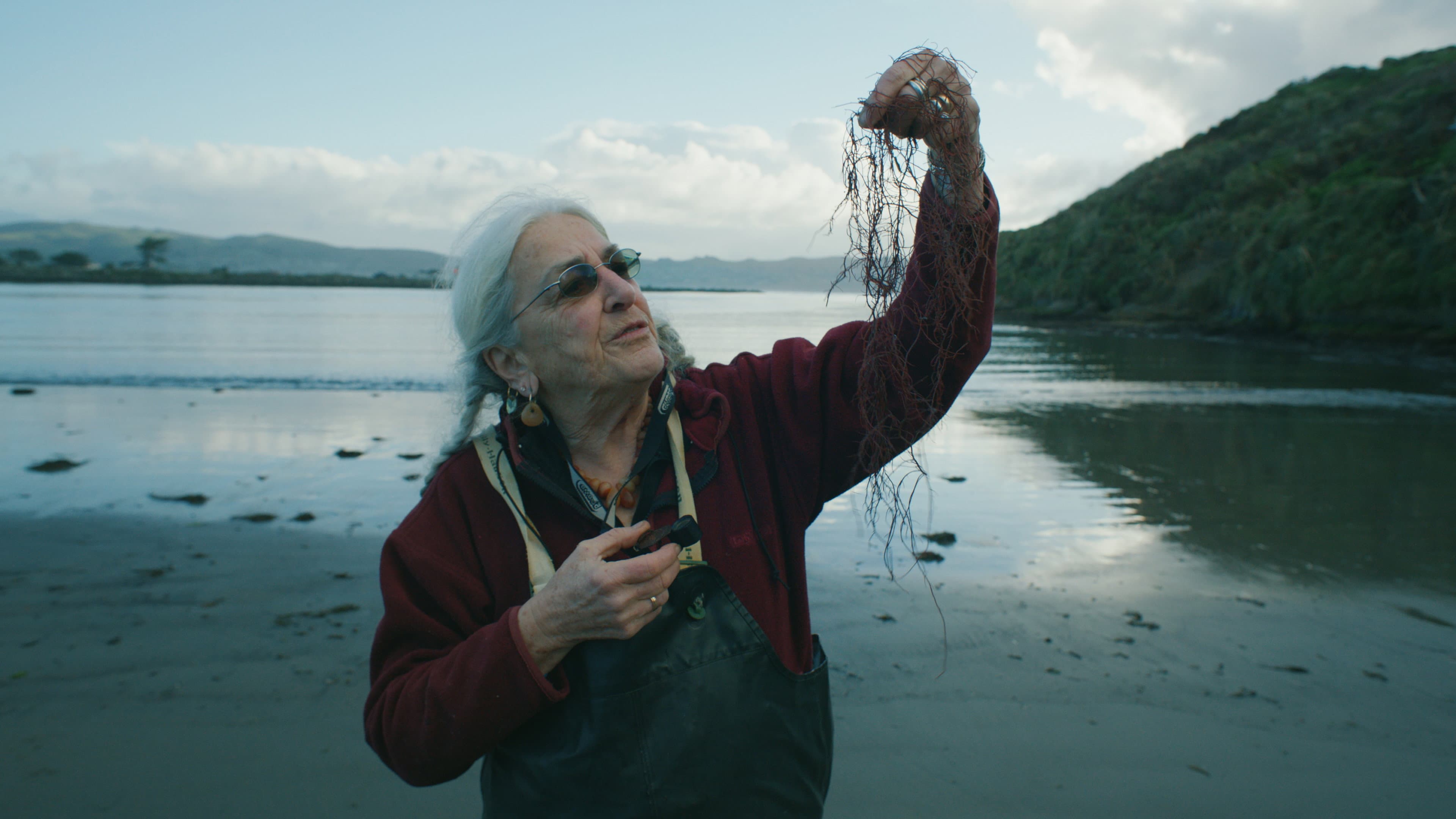 Seaweed Stories - immagine