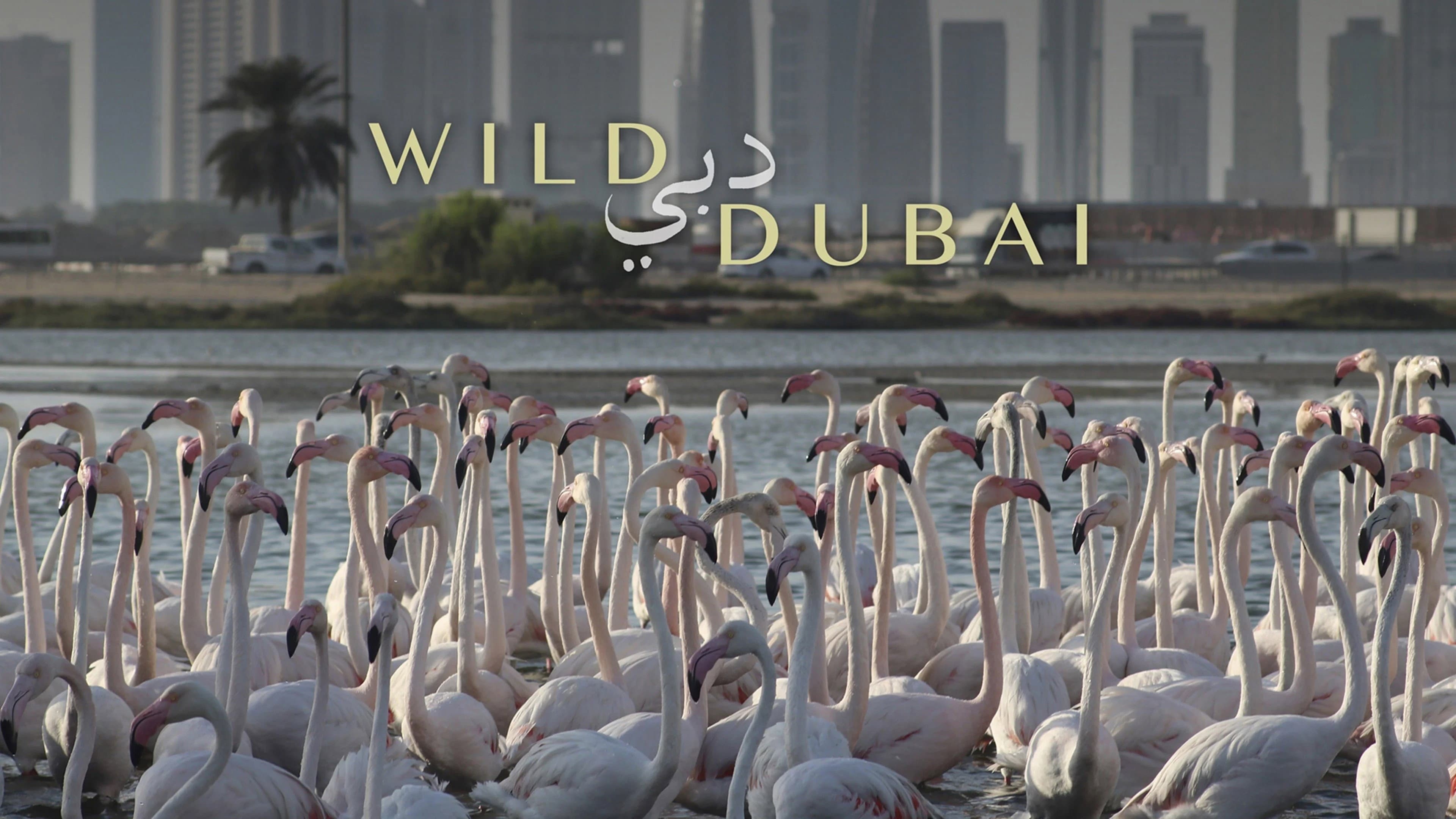 Wild Dubai - immagine