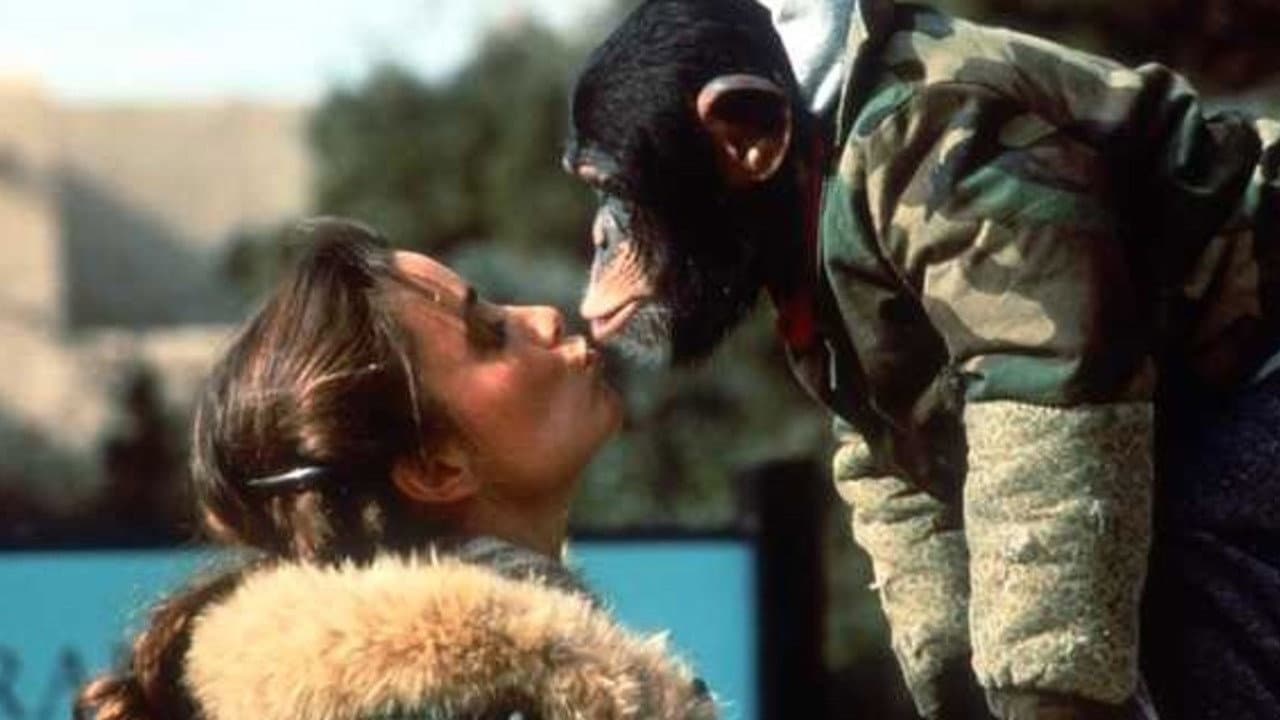 Animal Behavior - immagine