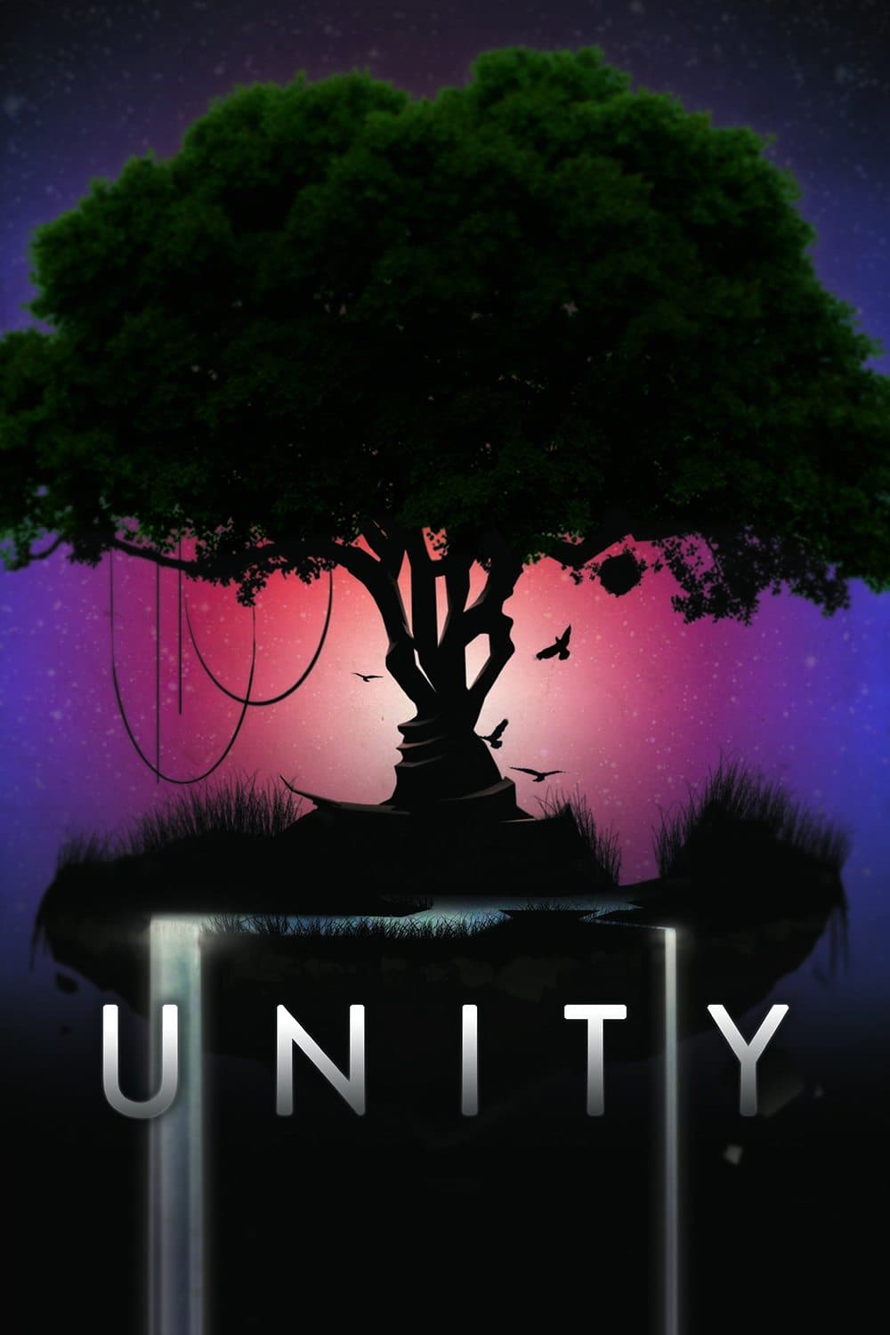 Poster di Unity