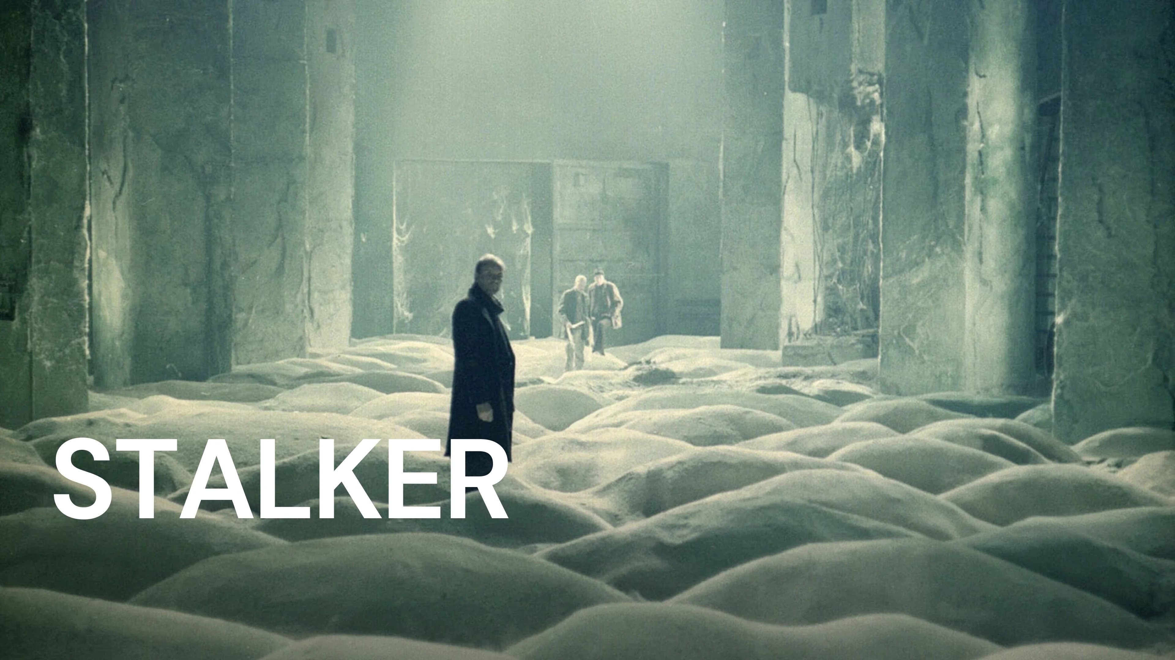 Stalker - immagine