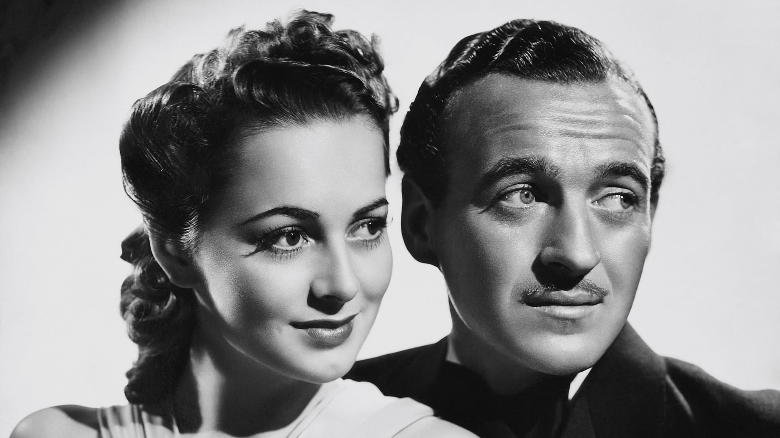 Raffles - immagine