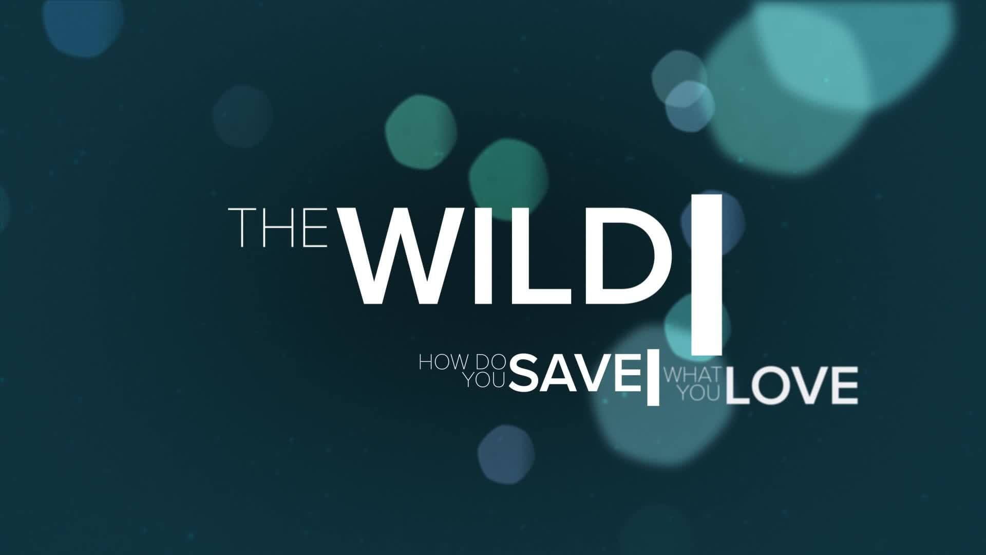 The Wild - immagine