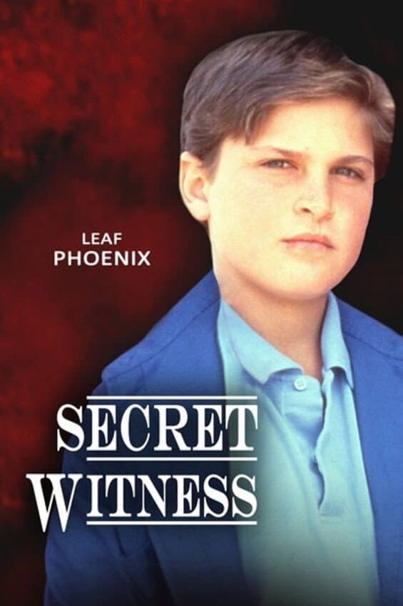 Poster di Secret Witness