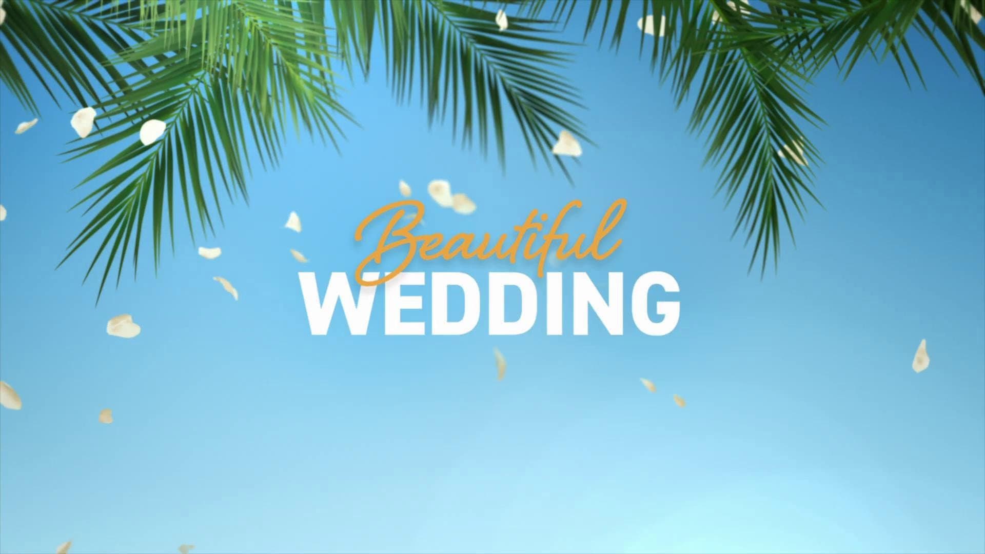 Uno splendido disastro 2 - Il matrimonio - immagine