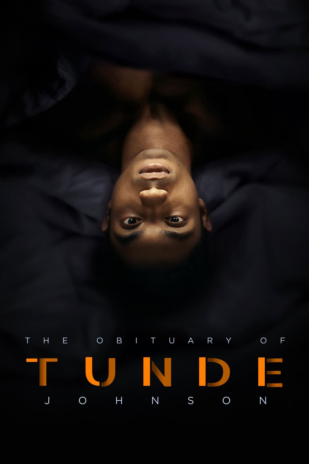 Poster di The Obituary of Tunde Johnson